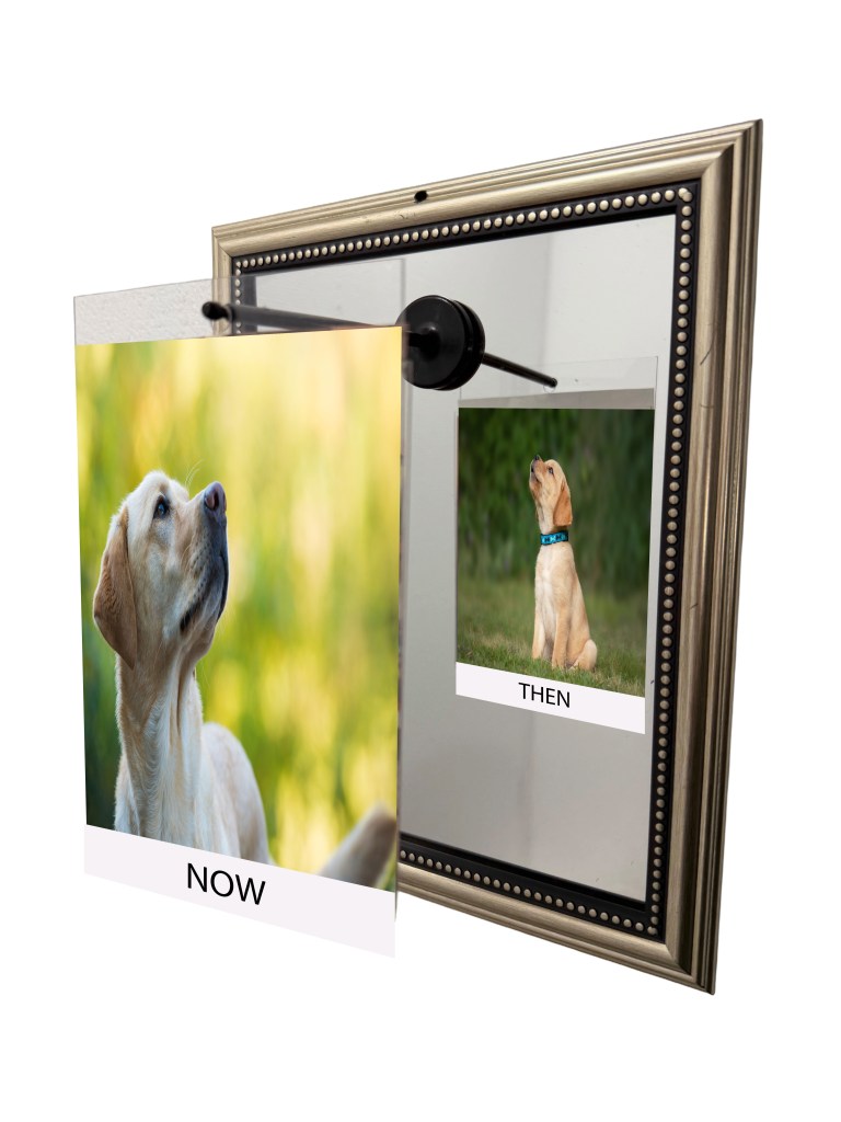 A photo frame displaying two images of a Labrador Retriever: one labeled 'NOW' showing the dog in a natural setting, and another labeled 'THEN' showing the same dog in a sitting position.